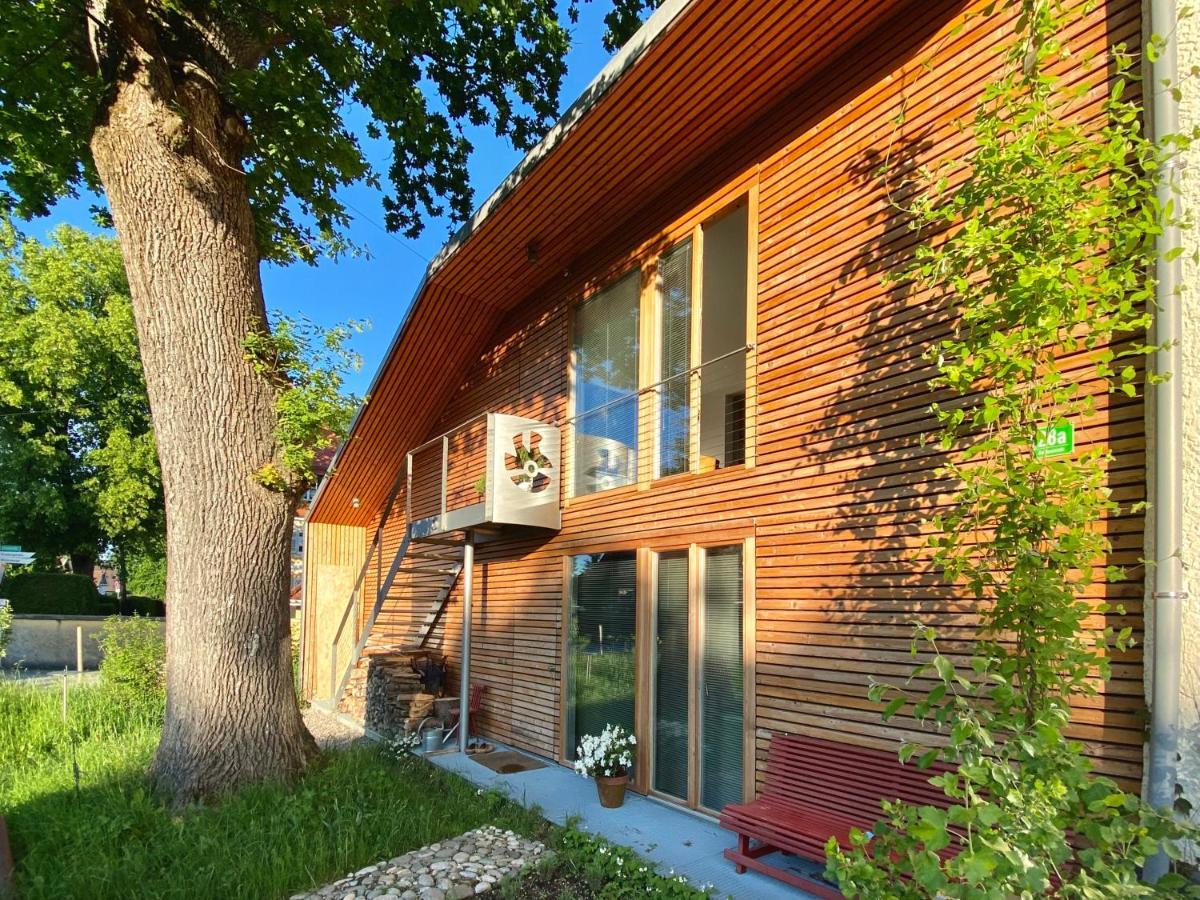 基姆湖畔贝尔瑙Loft Mit Dachterrasse公寓 外观 照片
